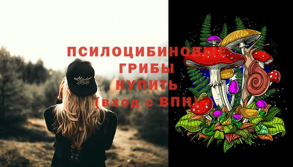 PSILOCYBIN Абинск