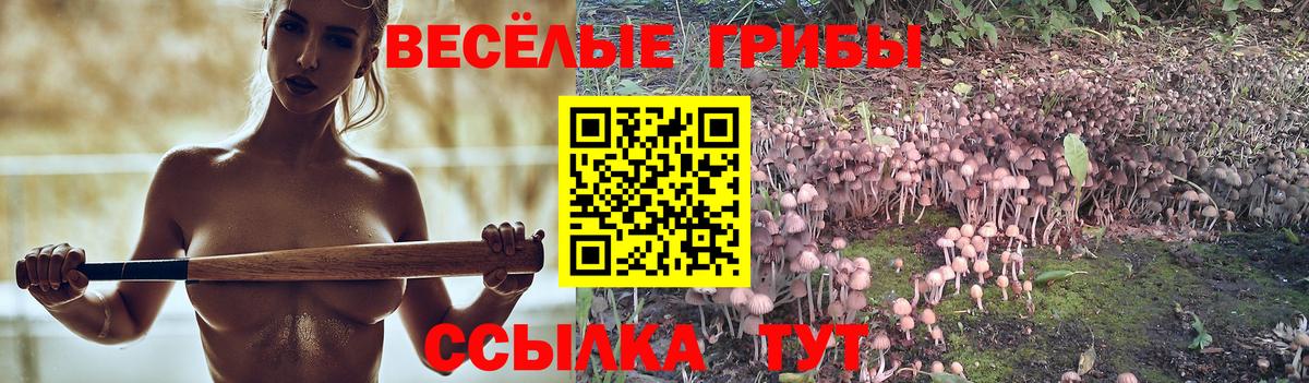 Галлюциногенные грибы Psilocybine cubensis Ялта